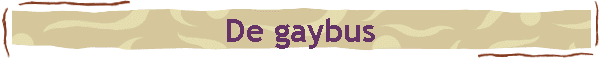 De gaybus